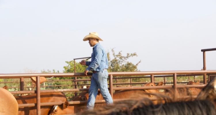 East Foundation Ranches