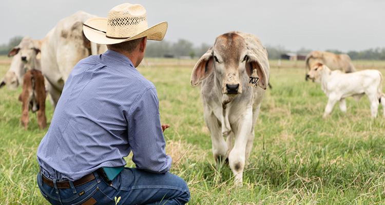 JD_Hudgins_Ranch_BBQuest_750x400