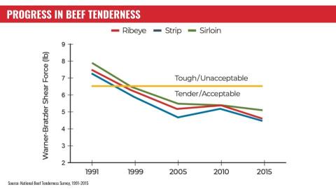 Progress in beef tenderness