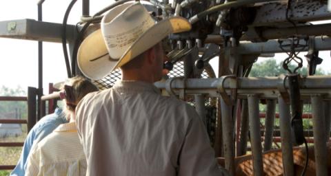 East Foundation Ranches