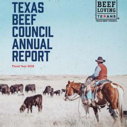 Annual Report - FY19